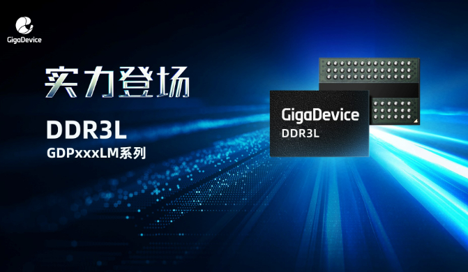 DDR3L.jpg